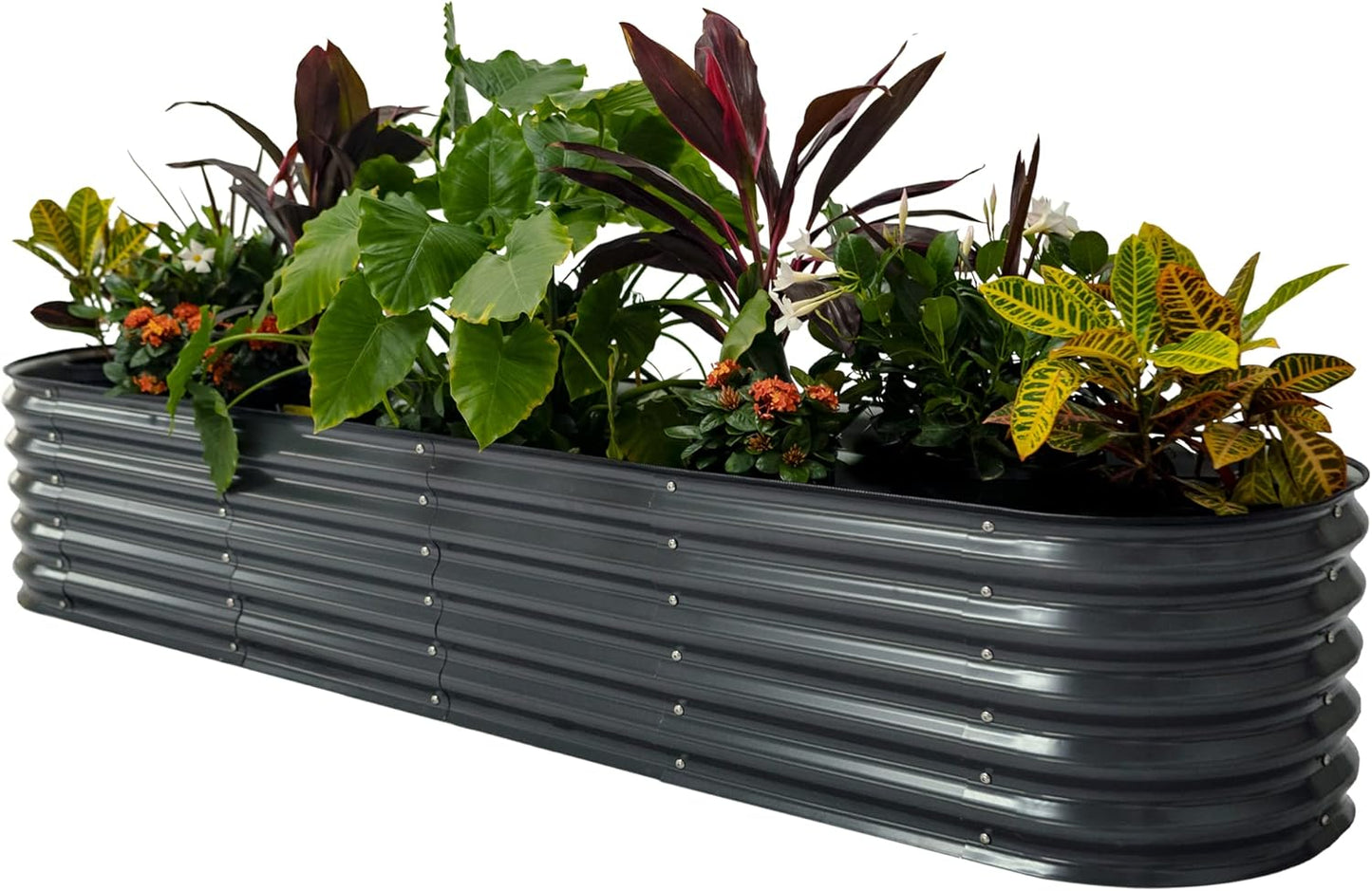 Garden Raised Garden Bed Kits